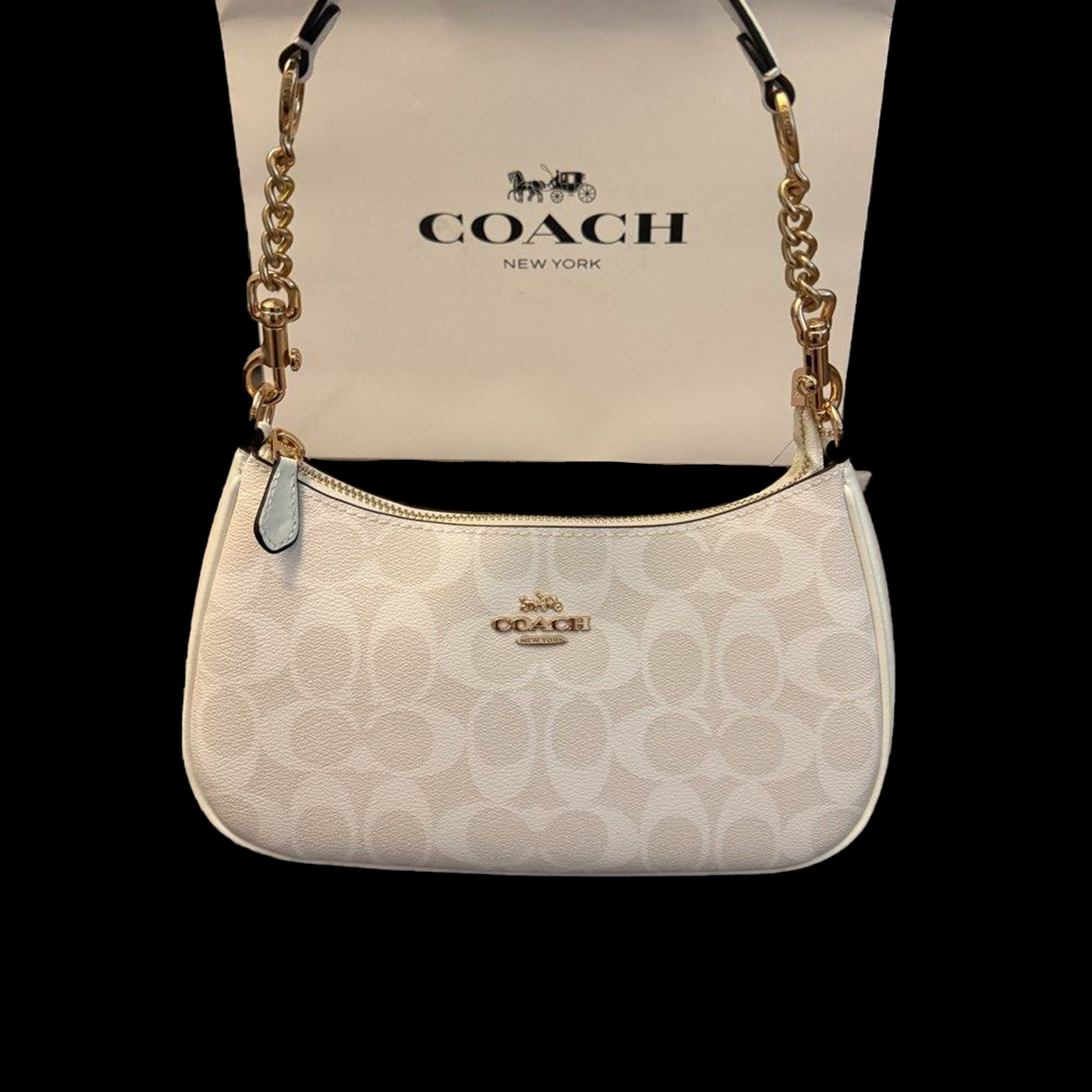 Coach Teri White Bag