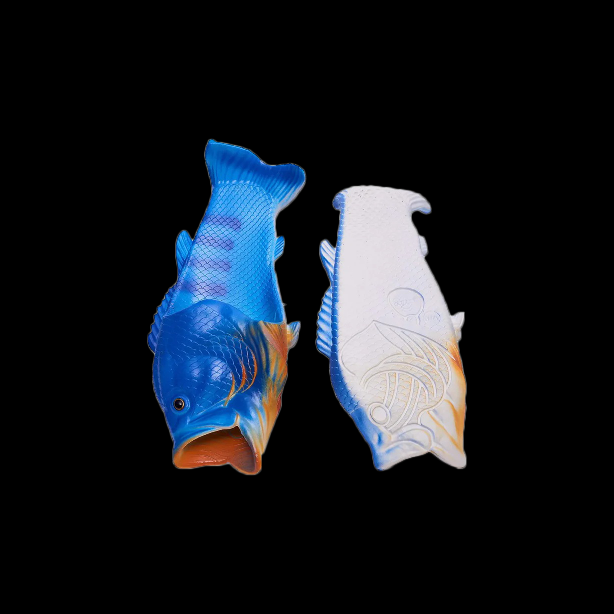 FISH SLIDES