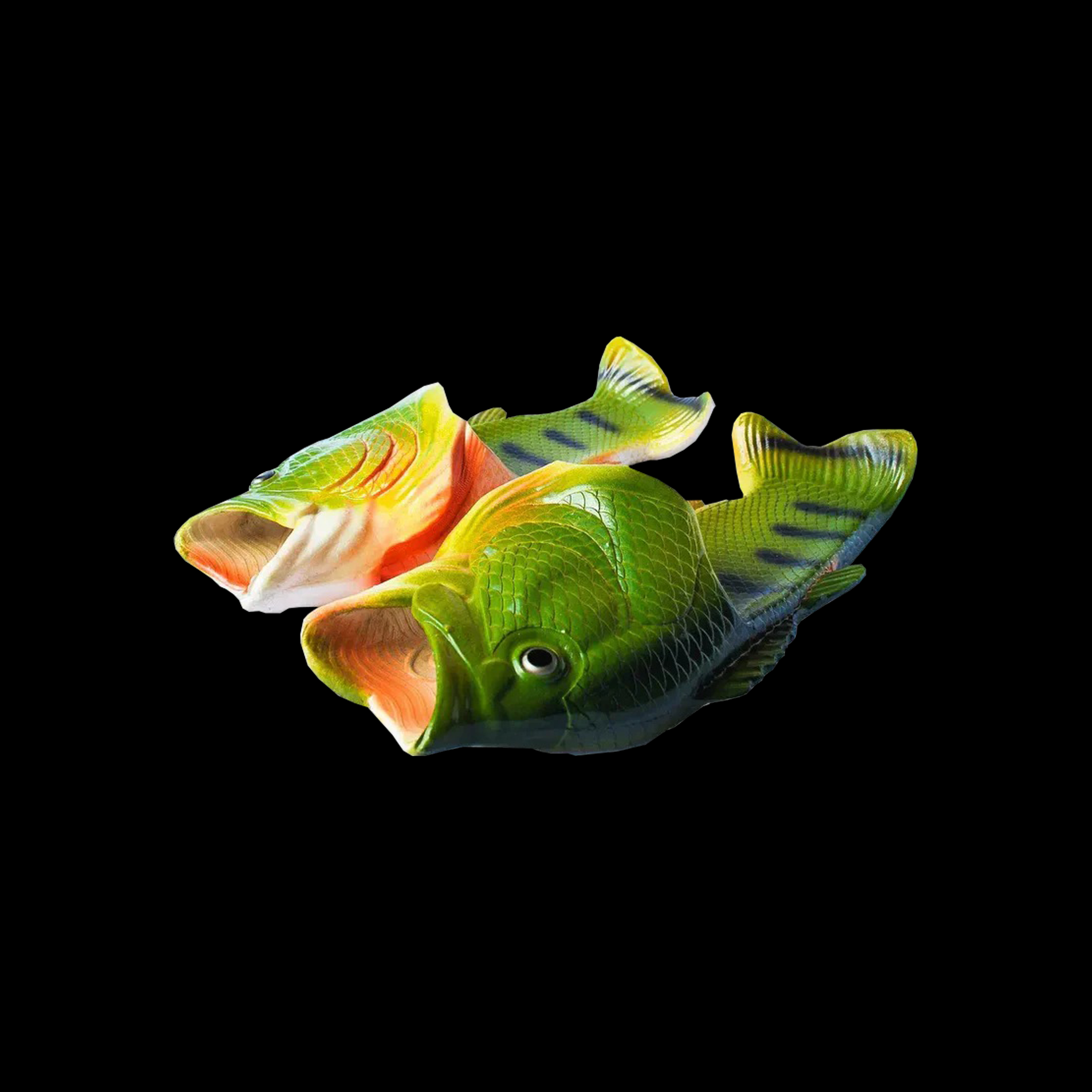 FISH SLIDES