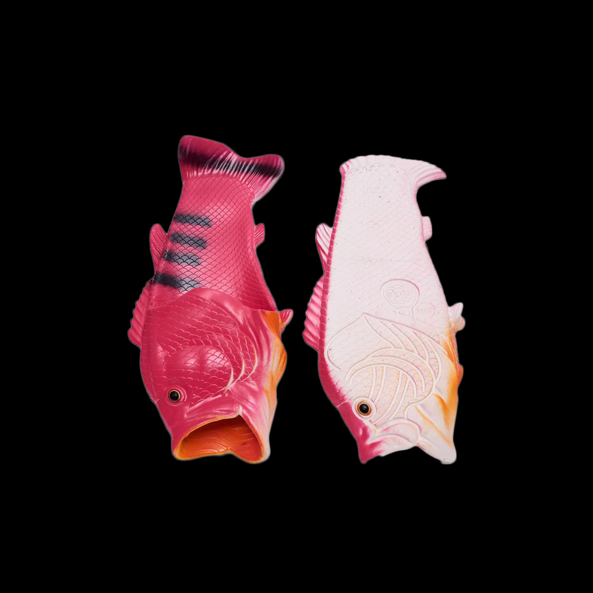 FISH SLIDES