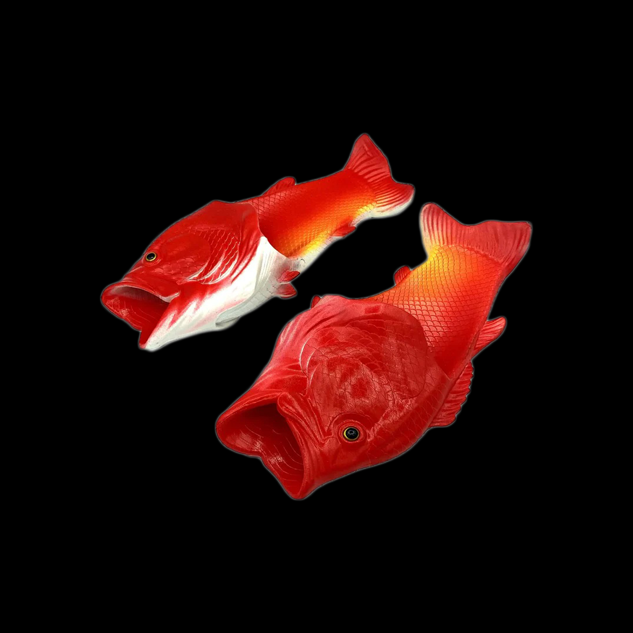 FISH SLIDES